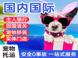 昆明航空托运国际宠物托运 【国